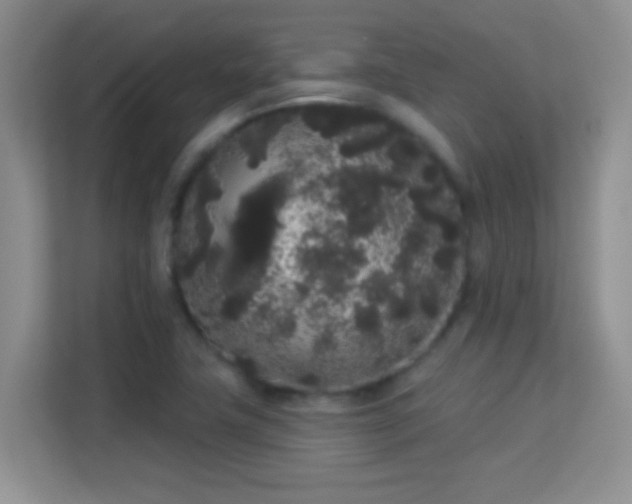 X0000113981411200910091308