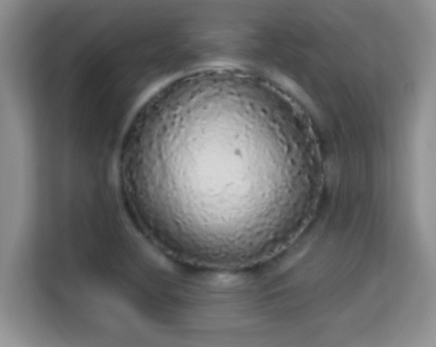 X0000113981412200910091308