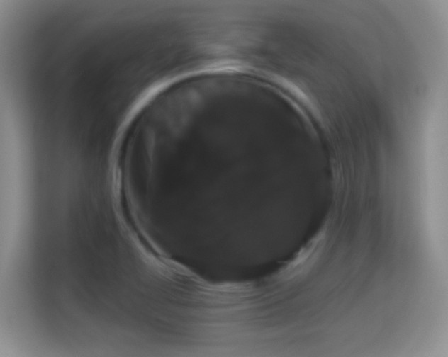 X0000113981414200910091308