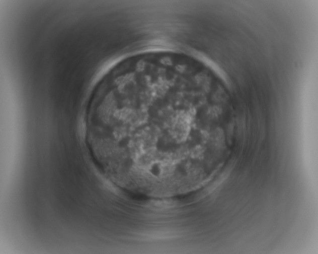 X0000113981415200910091308