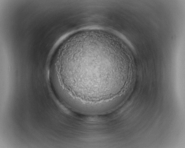 X0000113981416200910091308