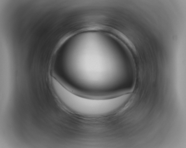 X0000113981417200910091308