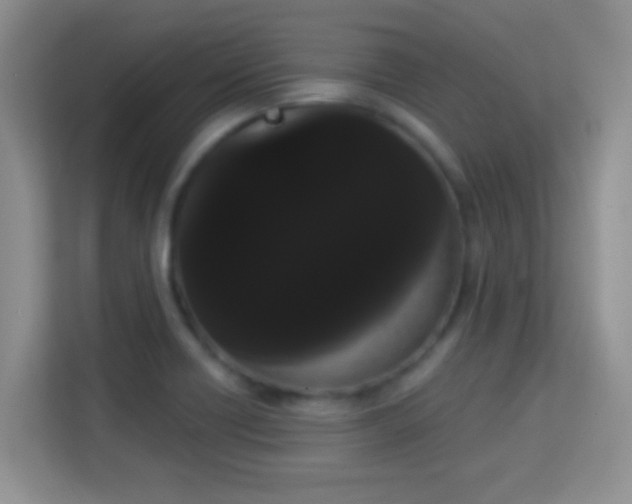 X0000113981418200910091309