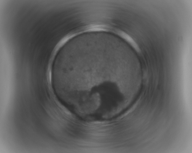 X0000113981419200910091309