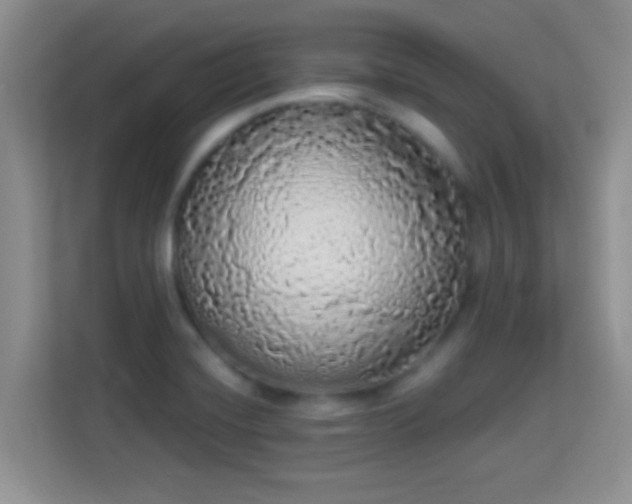 X0000113981420200910091309