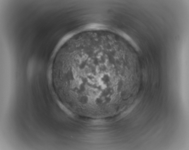 X0000113981421200910091309