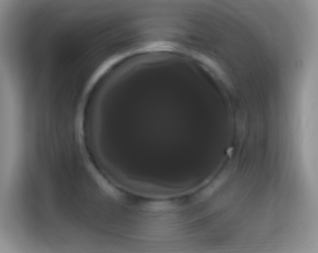 X0000113981422200910091309