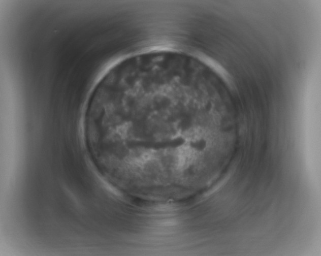 X0000113981423200910091309