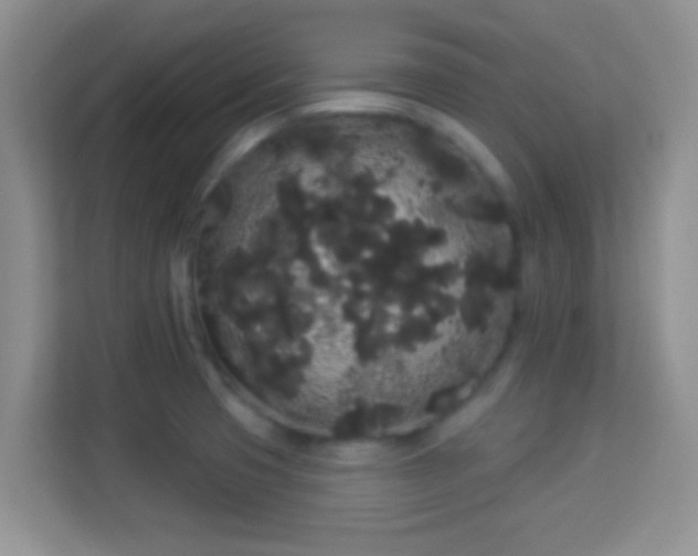 X0000113981425200910091309