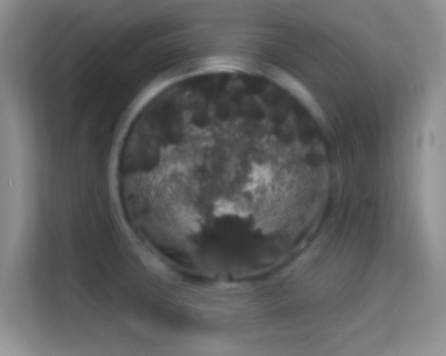 X0000113981427200910091309