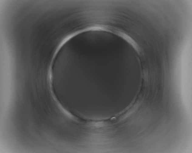 X0000113981428200910091309