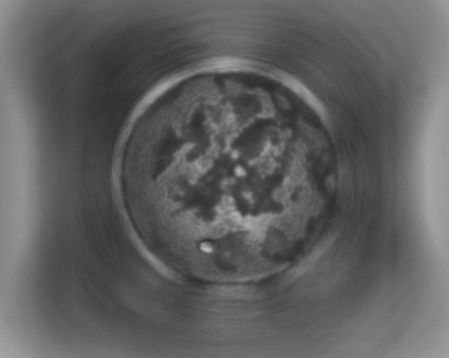 X0000113981429200910091309