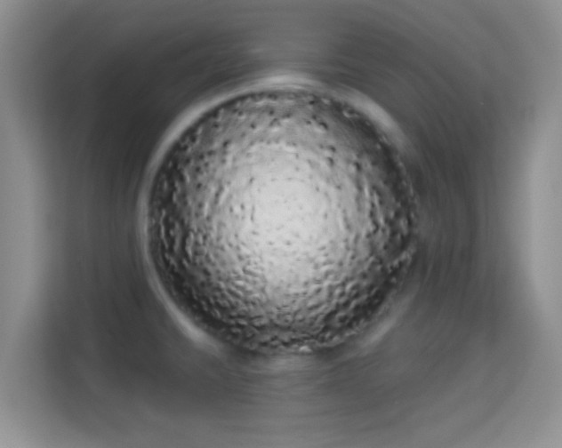 X0000113981430200910091309