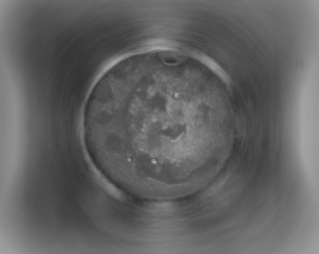 X0000113981431200910091309