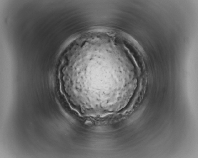 X0000113981433200910091309