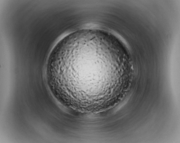 X0000113981434200910091309