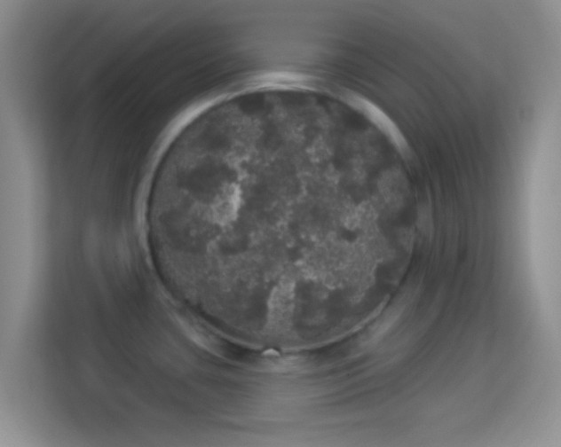 X0000113981435200910091309