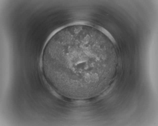 X0000113981436200910091309