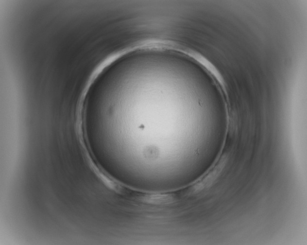 X0000113981437200910091309