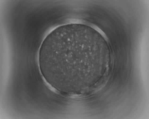 X0000113981439200910091309