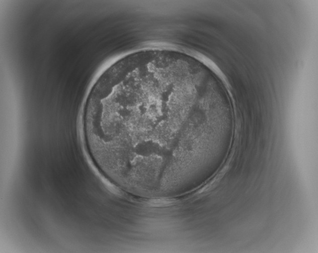 X0000113981440200910091309