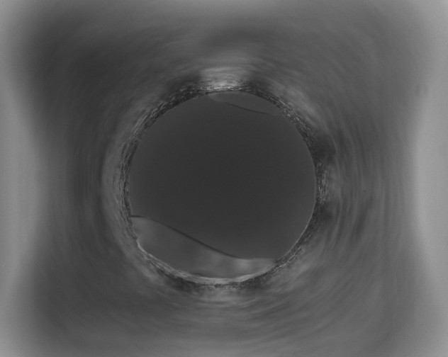 X0000113981441200910091308