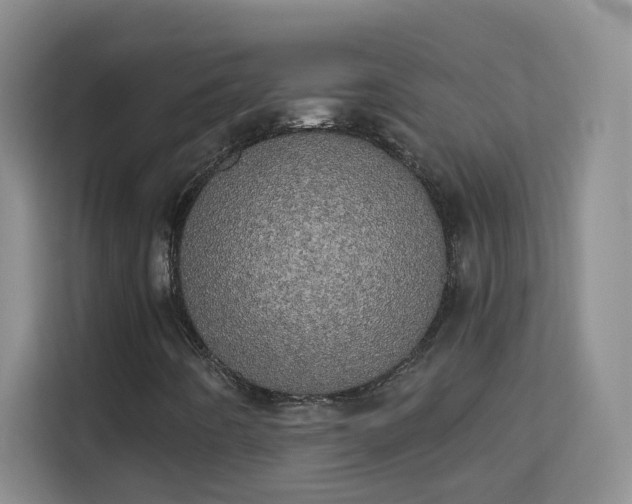 X0000113981442200910091308