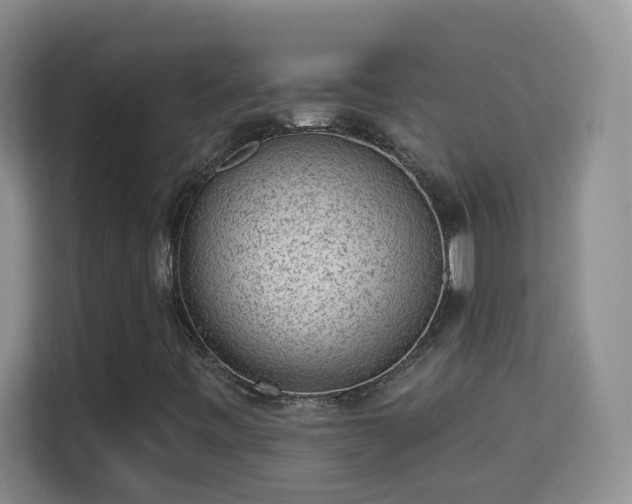 X0000113981443200910091308