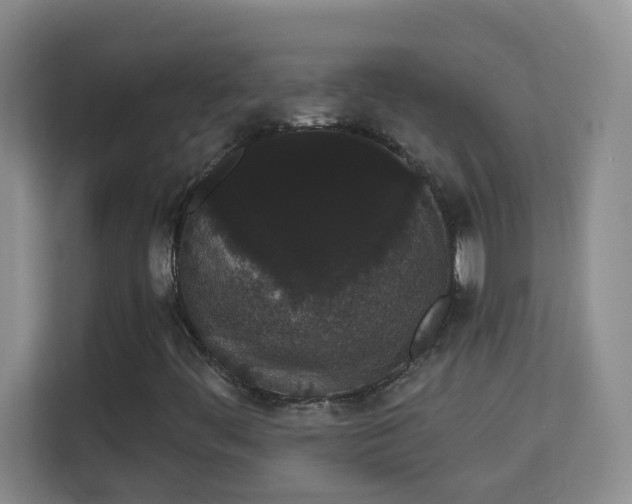 X0000113981444200910091308