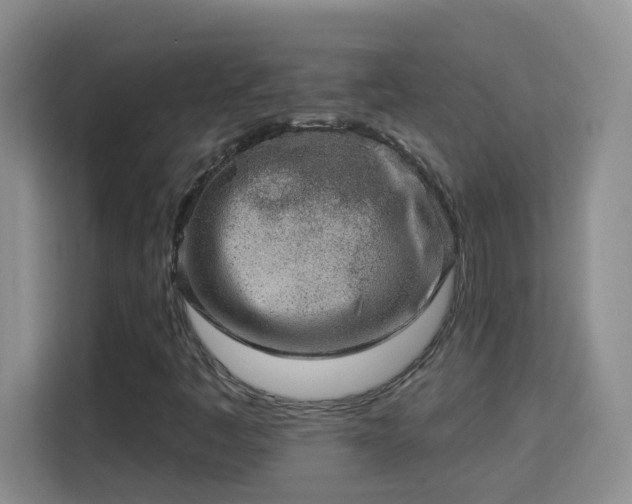 X0000113981445200910091308