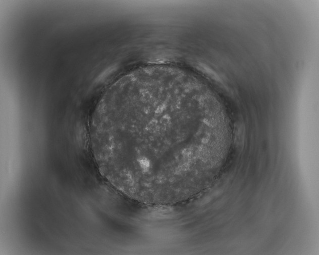 X0000113981446200910091308