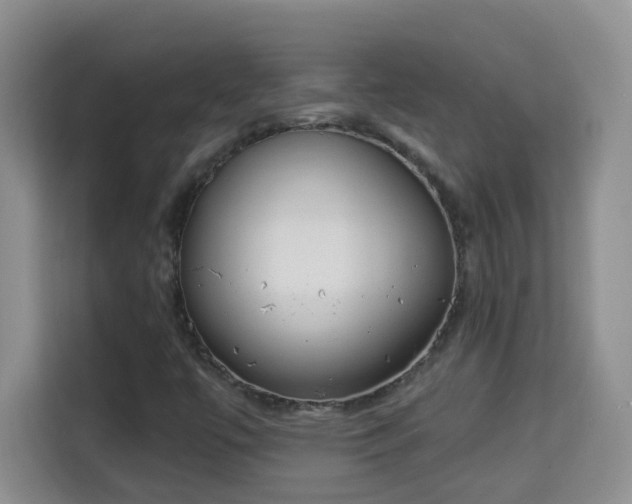 X0000113981447200910091308