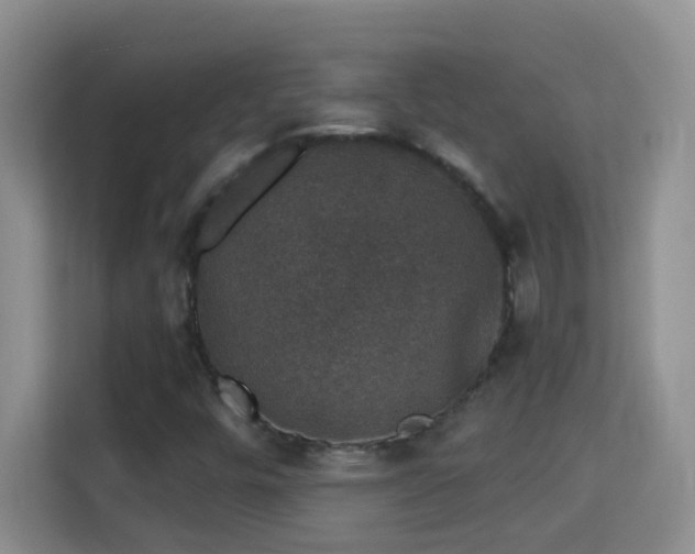 X0000113981448200910091308