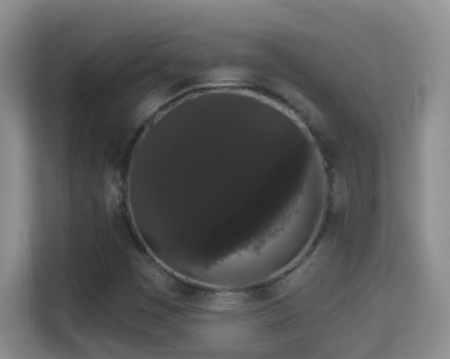 X0000113981449200910091308