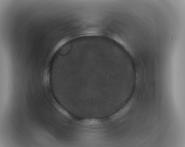 X0000113981450200910091308