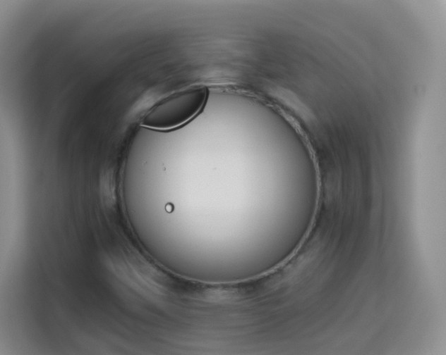 X0000113981451200910091308