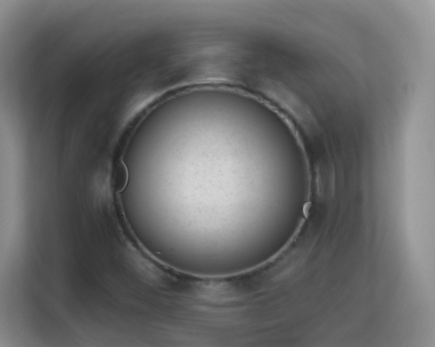 X0000113981452200910091308