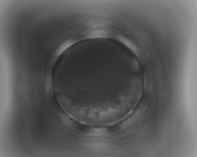 X0000113981453200910091308