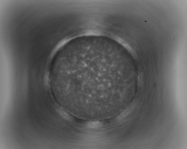 X0000113981454200910091308