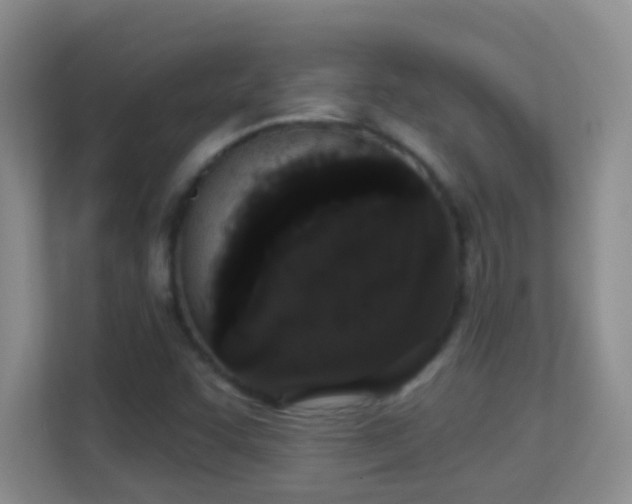 X0000113981455200910091308