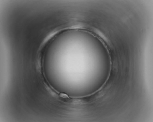 X0000113981456200910091308