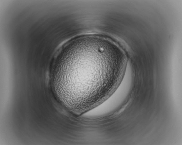 X0000113981457200910091308