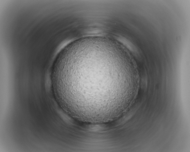 X0000113981458200910091308