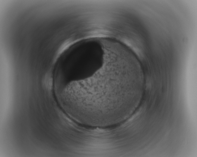 X0000113981459200910091308