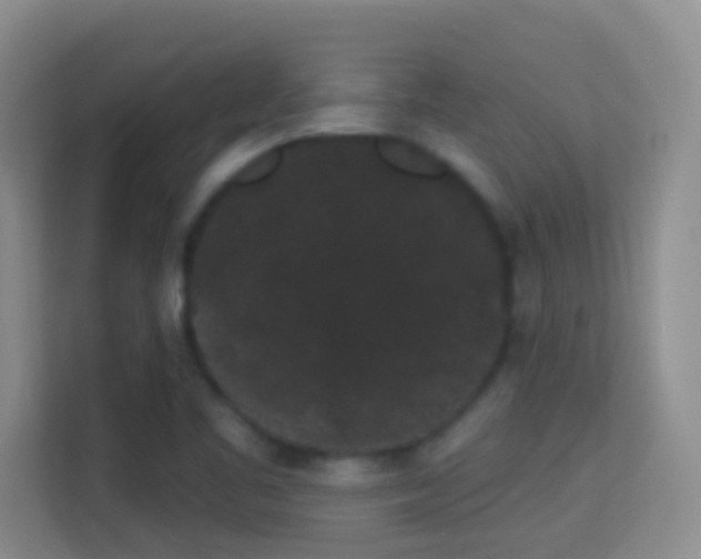 X0000113981461200910091308