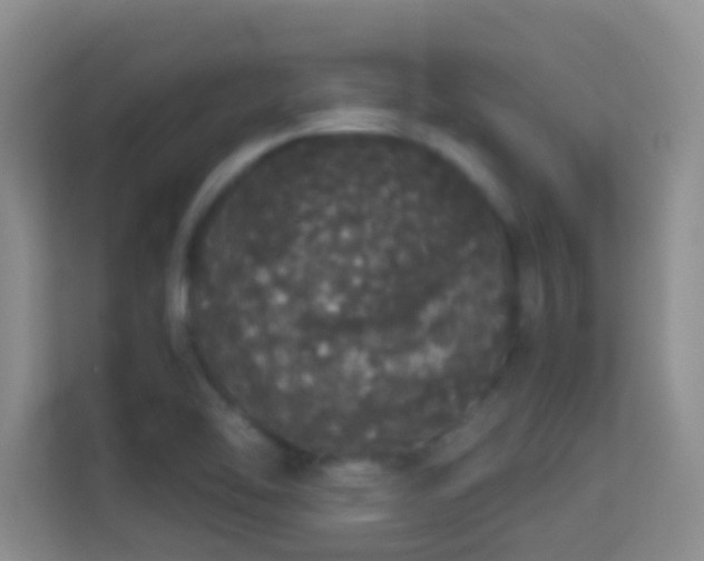 X0000113981462200910091308