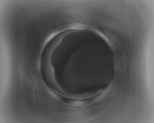 X0000113981463200910091308