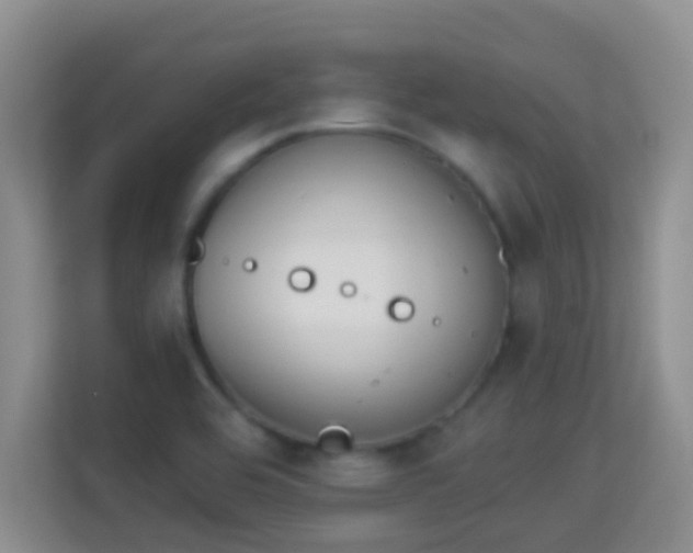 X0000113981464200910091308