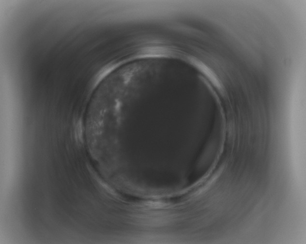 X0000113981465200910091308