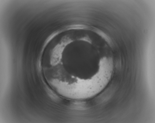 X0000113981466200910091308